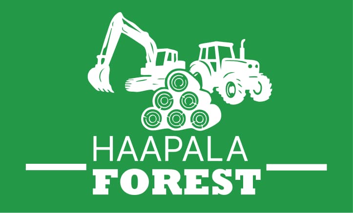 Haapala Forest